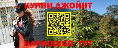 сатива Гай