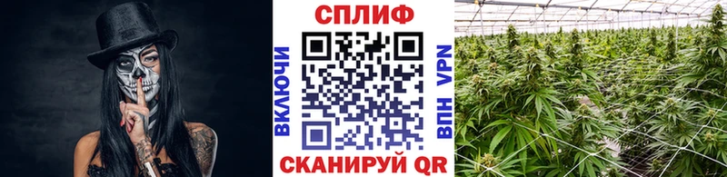 Каннабис White Widow  маркетплейс как зайти  Нягань 